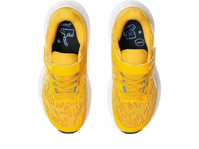 GT-1000 13 PRE-SCUOLA