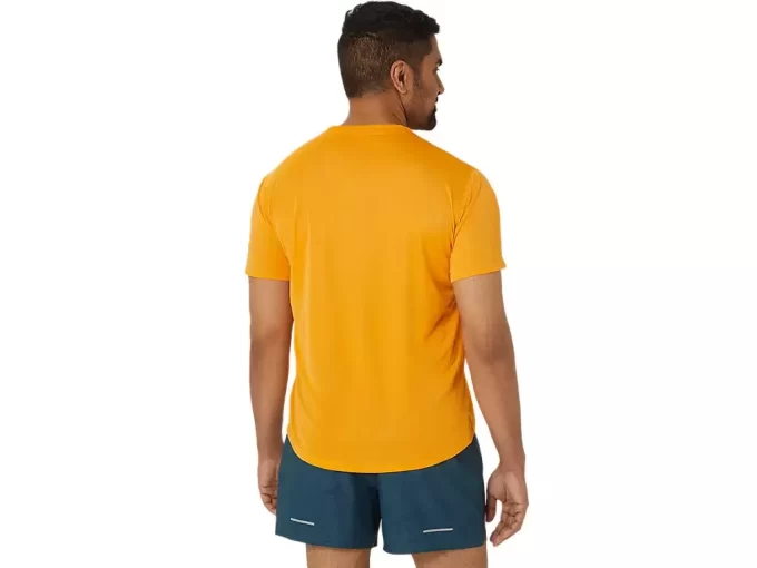 MAGLIA A MANICHE CORTE CON LOGO FUJITRAIL MAGLIA A MANICHE CORTE CON LOGO FUJITRAIL