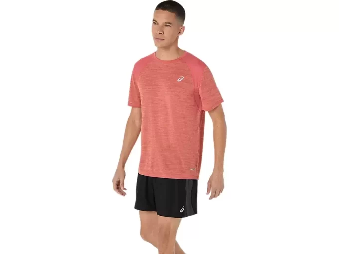 MAGLIA A MANICHE CORTE DA STRADA MAGLIA A MANICHE CORTE DA STRADA