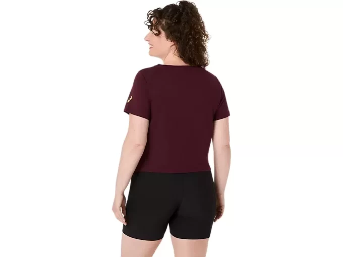 RACCOLTO DI GIRASOLE DELLE DONNE RACCOLTO DI GIRASOLE DELLE DONNE