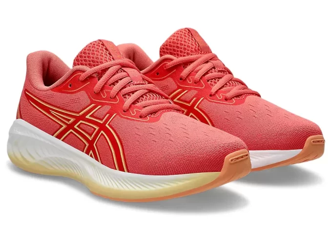 SCUOLA GRADUALE GEL-CUMULUS 26