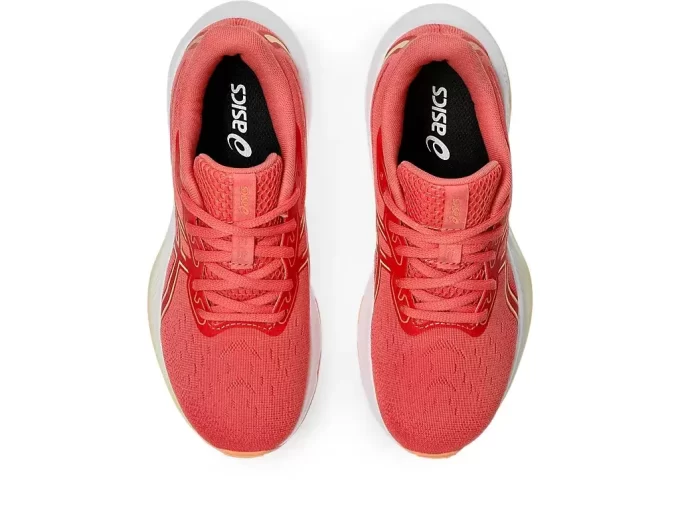 SCUOLA GRADUALE GEL-CUMULUS 26