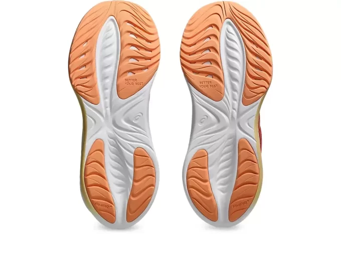 SCUOLA GRADUALE GEL-CUMULUS 26