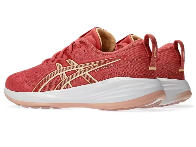 SCUOLA GRADUALE GEL-CUMULUS 27