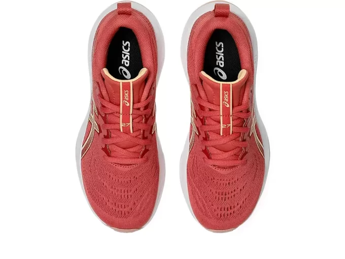 SCUOLA GRADUALE GEL-CUMULUS 27